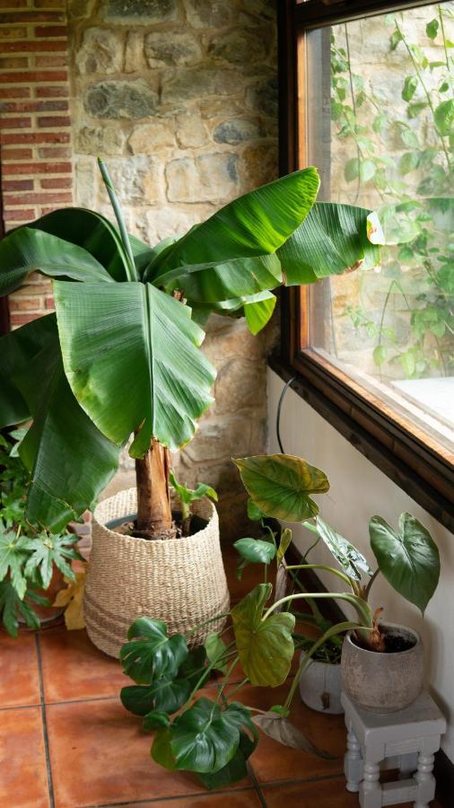 Casa 'Ohana Rioturbio Exteriér fotografie